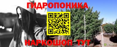 spice Кунгур