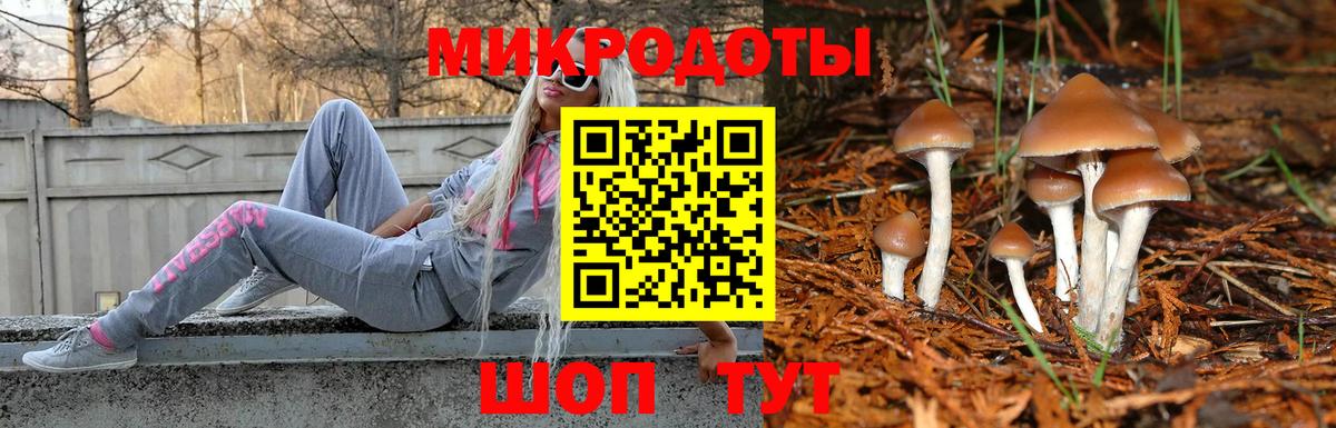 Псилоцибиновые грибы прущие грибы  Вход с VPN  Псилоцибиновые грибы мицелий  Шадринск 