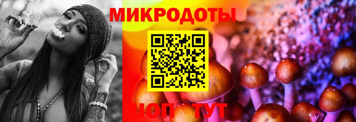 Галлюциногенные грибы ЛСД Шадринск